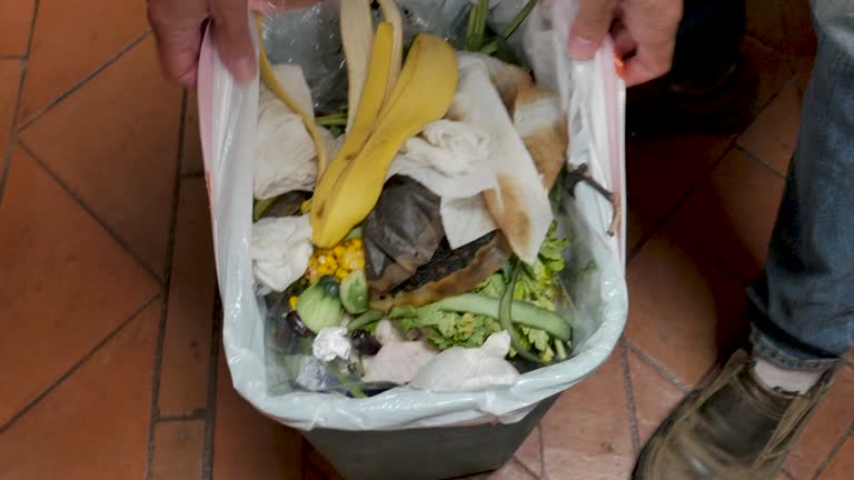 Best Dumpster Rental Services  in Fort Salonga, NY